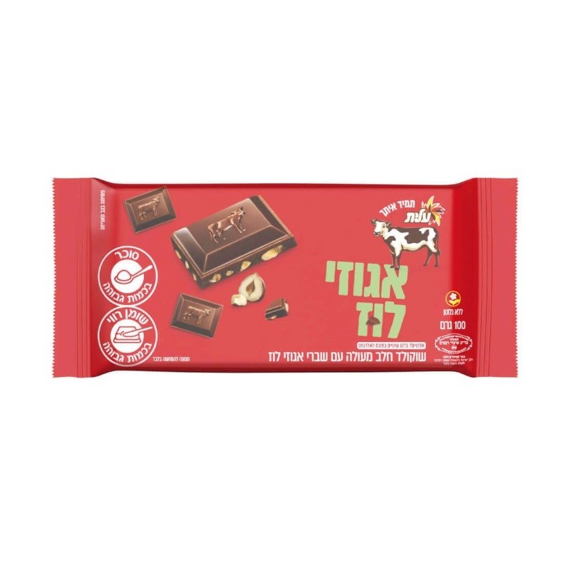 עלית שוקולד חלב עם אגוזי לוז